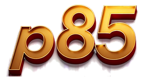p855 logo